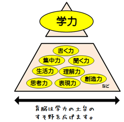 社会で活躍する人財を育成する「育脳寺子屋コース」